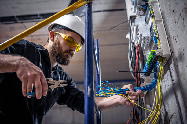 Best Home Electrical Repair  in Barry, IL