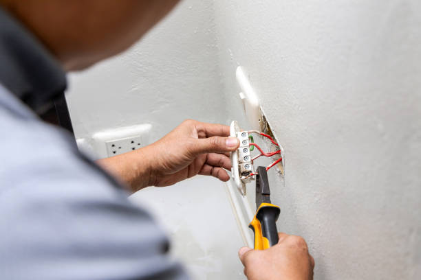 Best Electric Panel Repair  in Barry, IL
